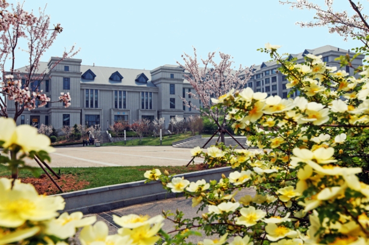 山东行政学院 全网资源