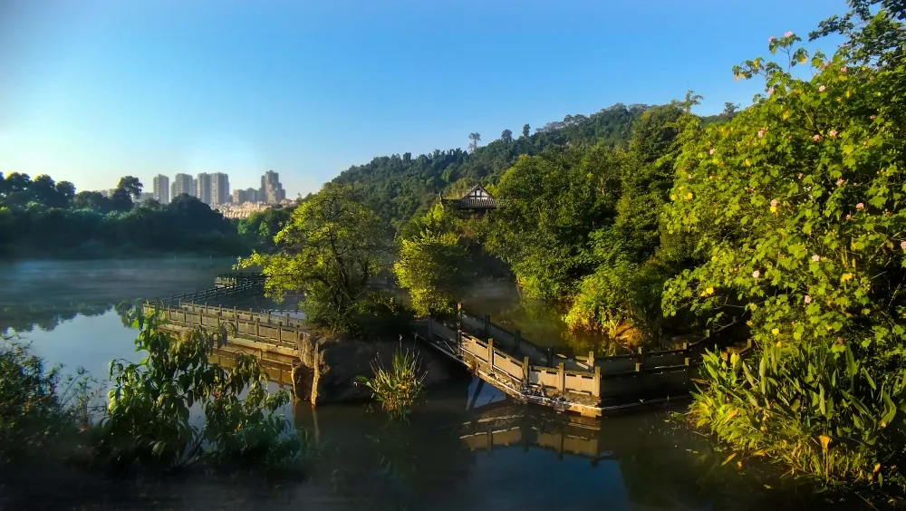 泸州张坝桂圆林风景区