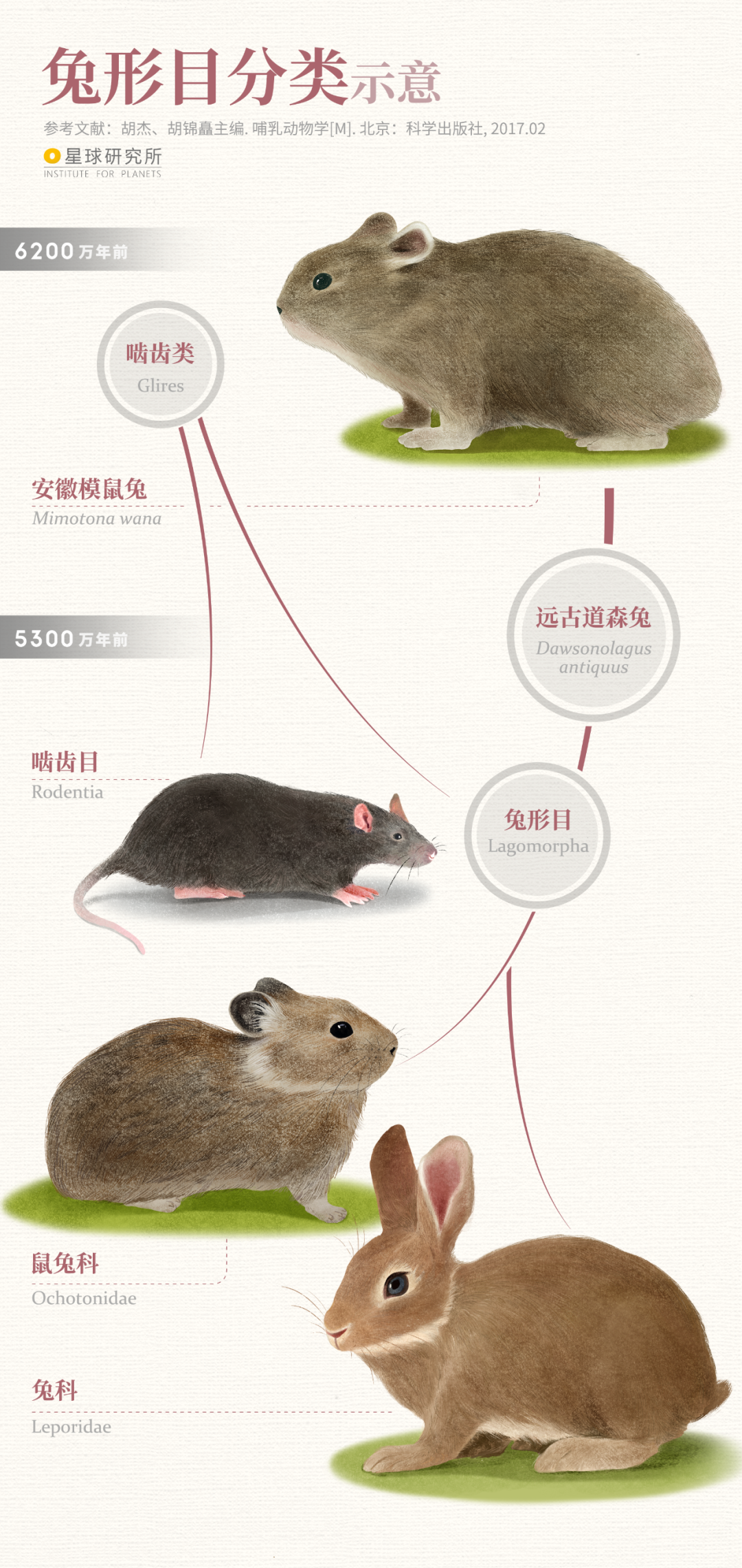 兔年来了！除了可爱，兔兔们还隐藏着怎样的实力？_百科TA说
