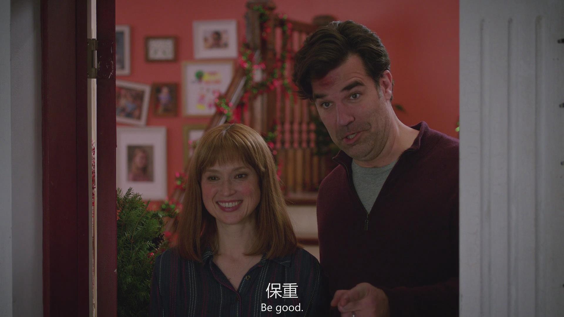  p data-id="sgenqhjchrep">《新小鬼当家》是由丹·马泽执导的电影.