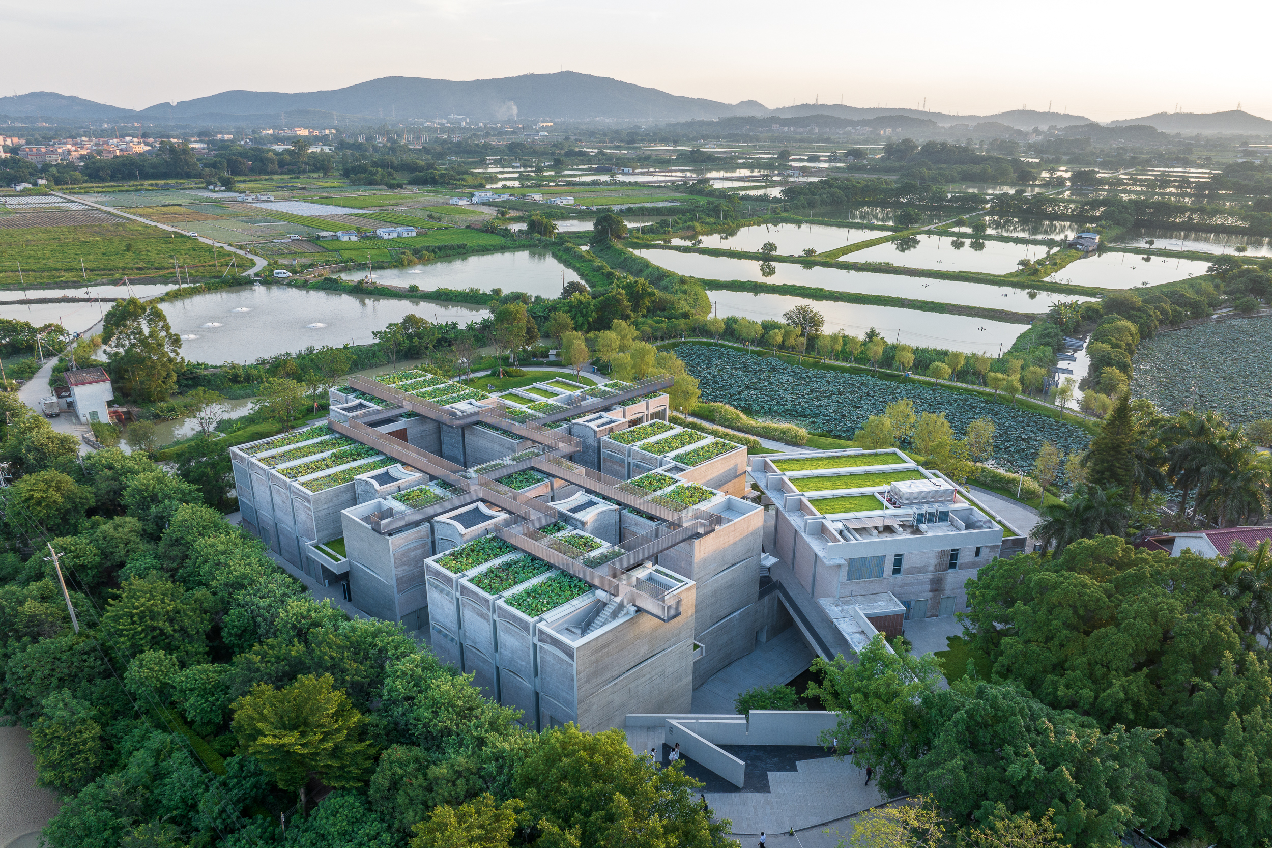 春阳台