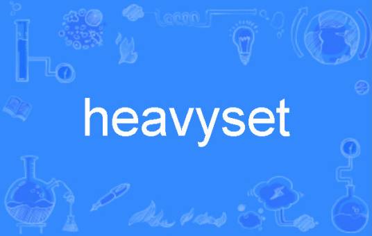 heavyset_百度百科