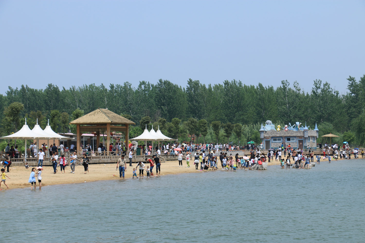东明黄河森林公园