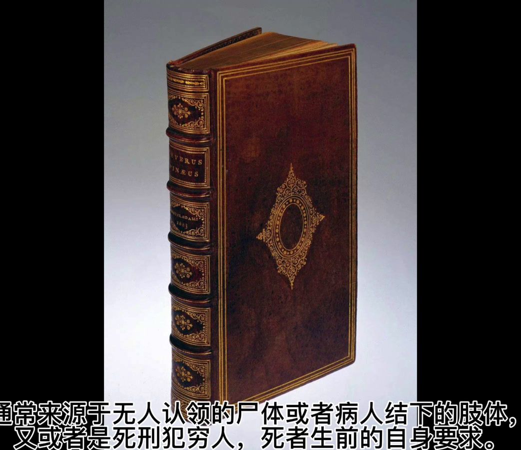 人皮书_百度百科