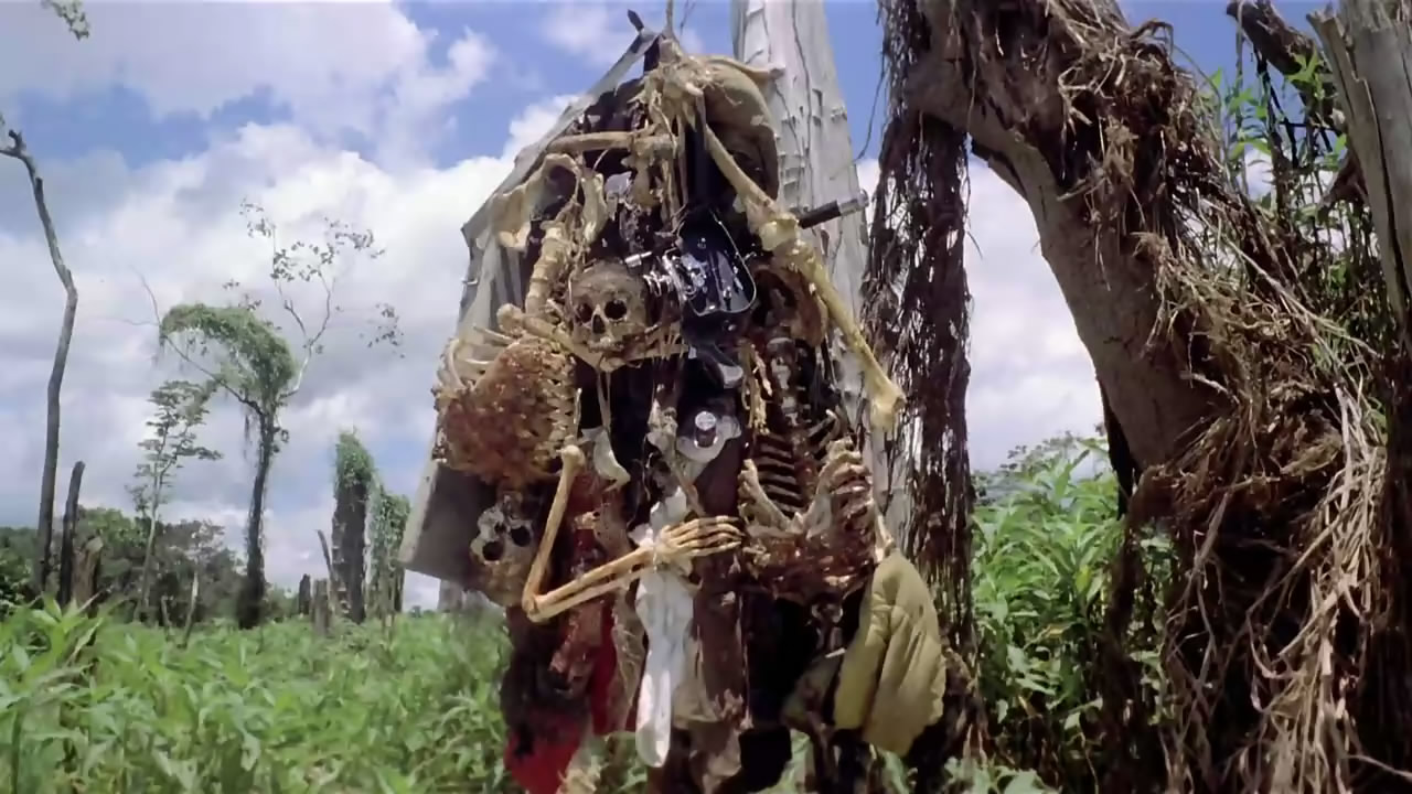  p>《人食人实录》是由ruggero deodato执导,robert kerman等人主演的