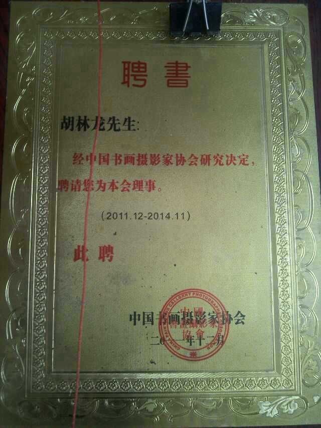  p data-id="gnbca5tpdk">胡林龙,中国美术家