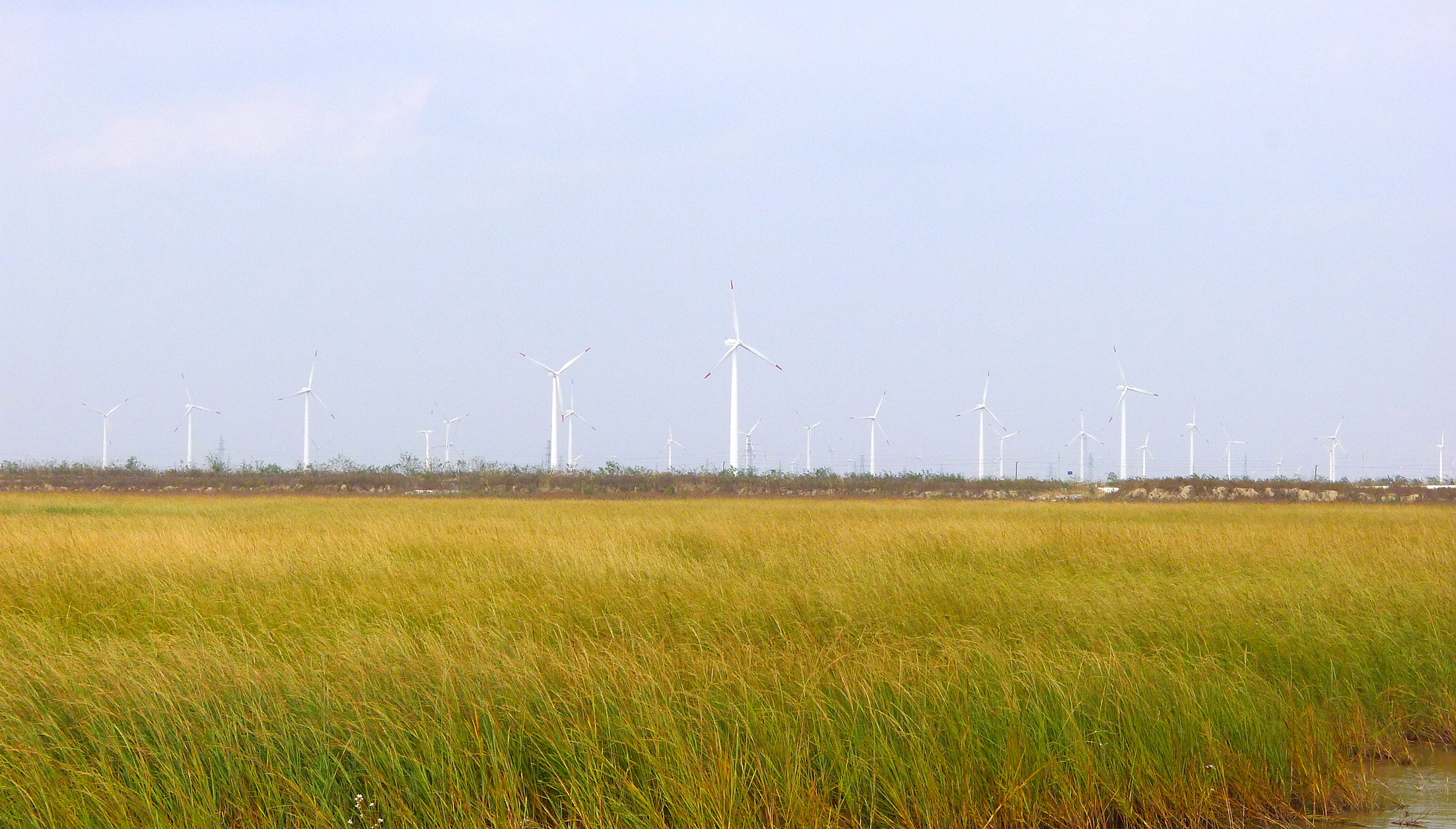  p>大丰国家海涂湿地公园隶属大丰麋鹿生态旅游度假区,由大丰市青纱海