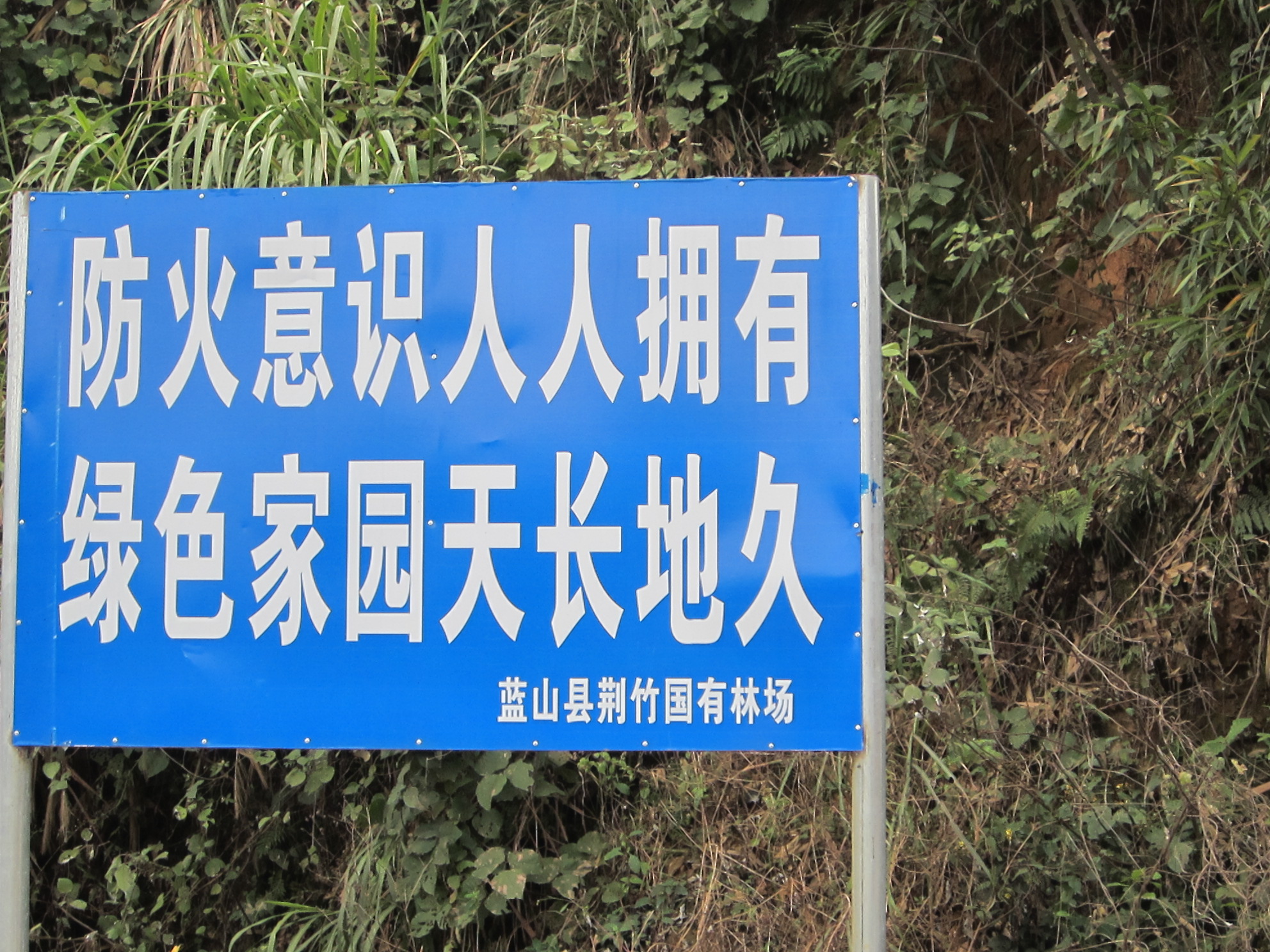 蓝山荆竹林场