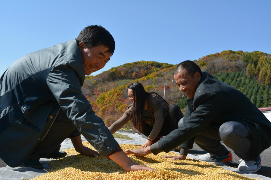 建设,位于在距离沈阳市中心190公里的辽宁东北部山区清原县的清河上游