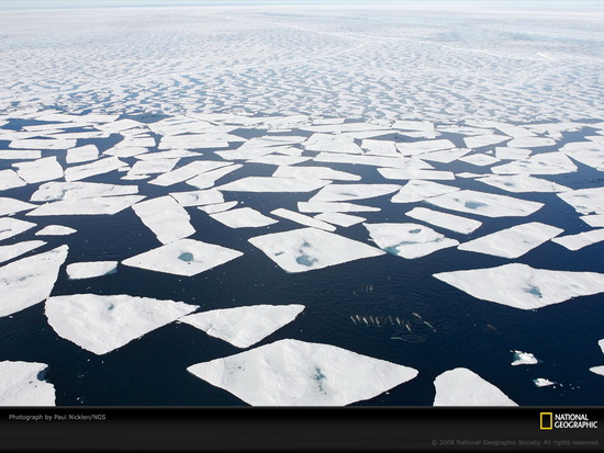  p>北冰洋(arctic ocean),又称北极海,冰水洋,是地球 a target="