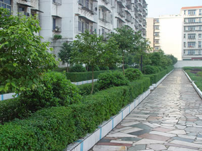 data-id="gn3gutr385">白鹭中学创办于1978年,位于江西省赣州市赣县