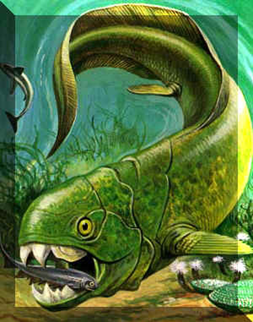  p>裂口鲨( a href="#" data-lemmaid="8074290">学名 /a> i>cladose