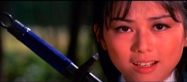  p>《十二金牌》是程刚执导的一部动作武侠电影,洪金宝动作导演,焦姣