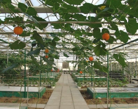 锦绣大地农业观光园