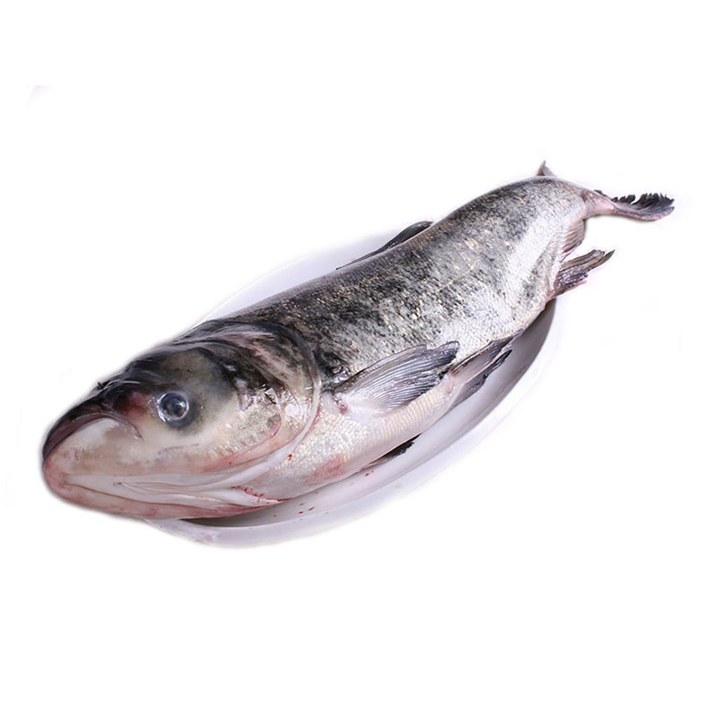 ="/item/胖头鱼/1717312" data-lemmaid="1717312">胖头鱼 /a>,大头鱼