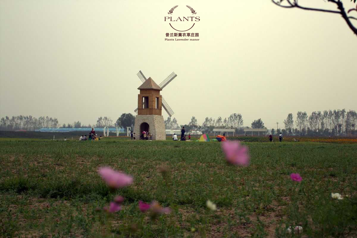 郑州薰衣草庄园