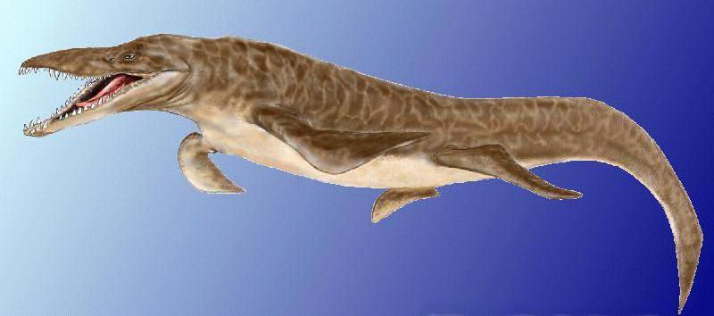  p>海王龙(tylosaurus)又名 a target="_blank"