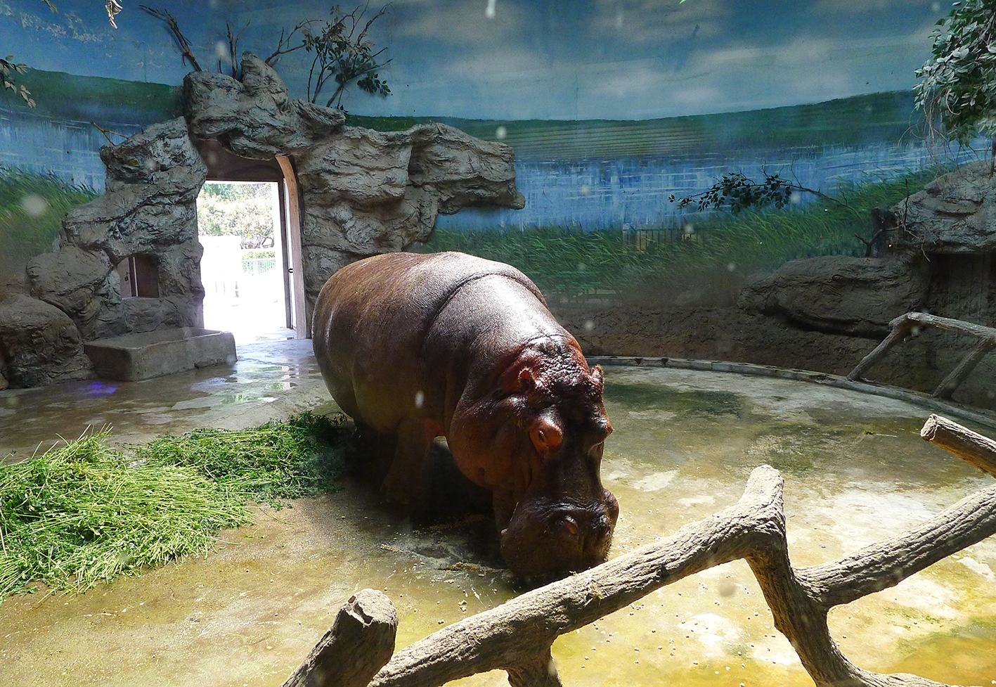  p>北京动物园位于中国北京市 a target="_blank" href="/item/西城区