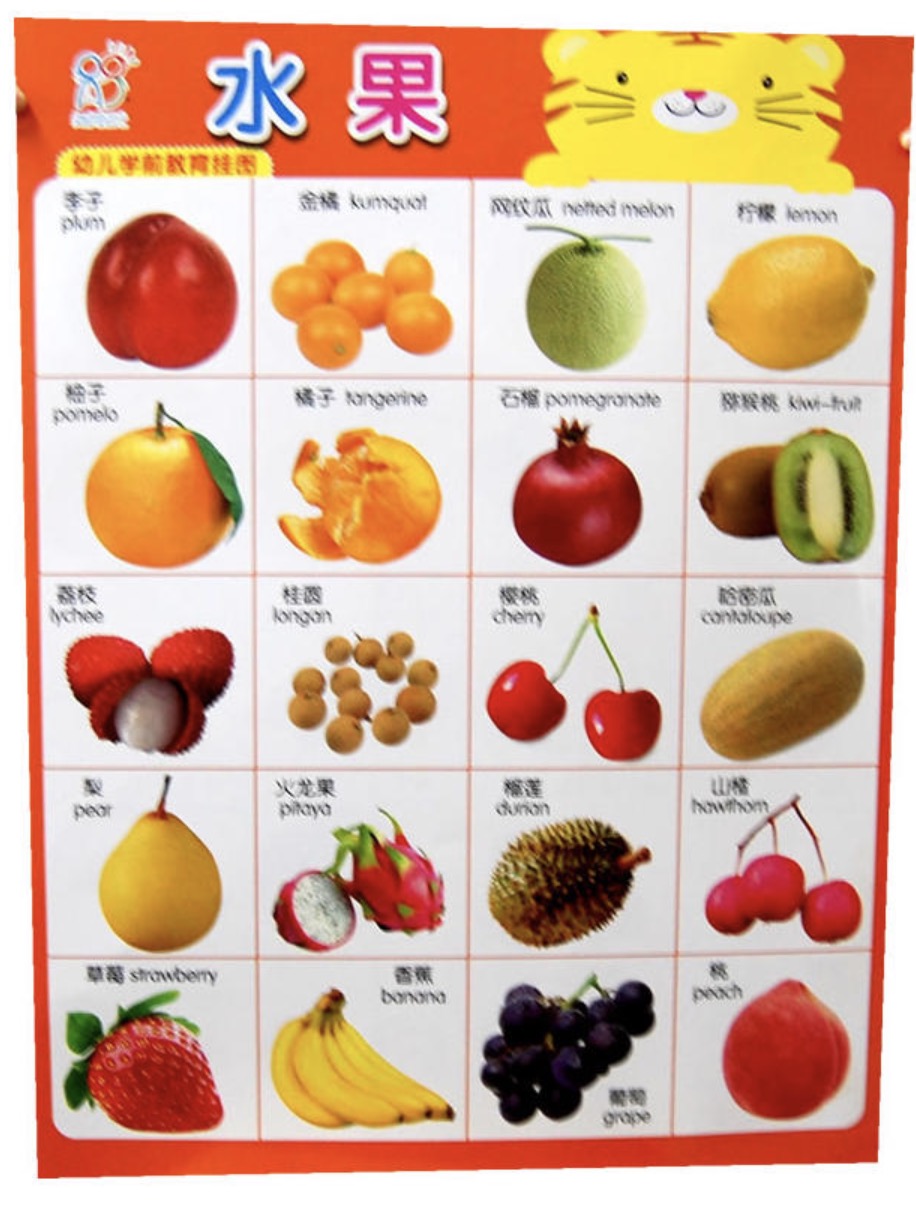 幼儿学前教育挂图:水果
