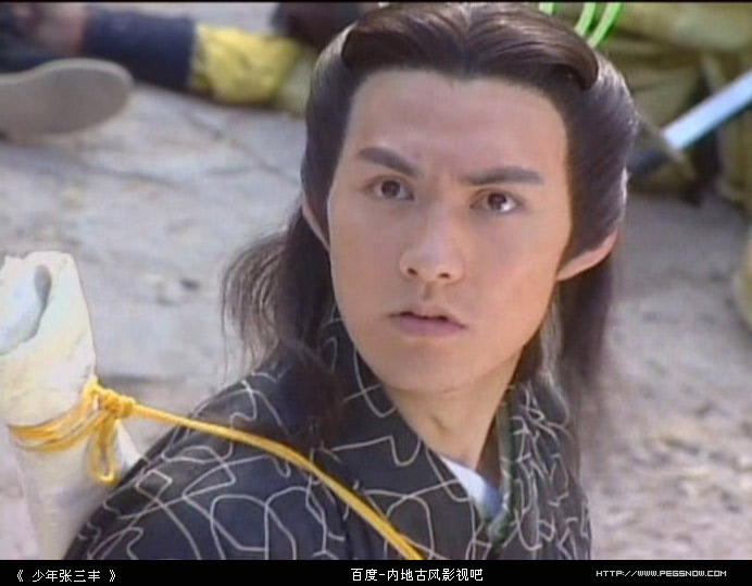 少年张三丰
