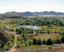 察尔森国家森林公园