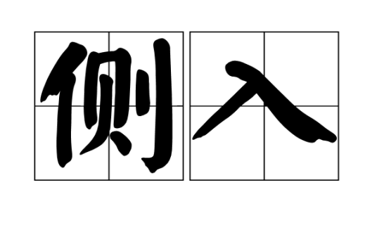 侧入_百度百科