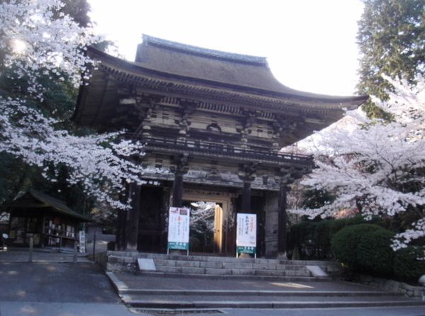  p>三井寺位于日本 a href="#">大津市 /a>别所.