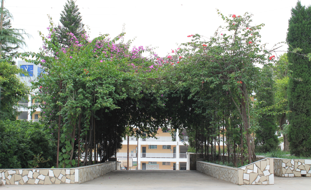 彝良县第一中学