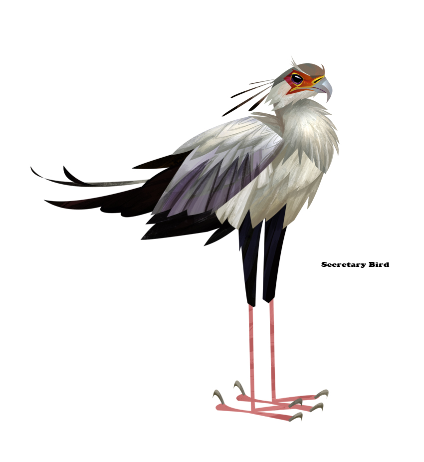 secretary bird