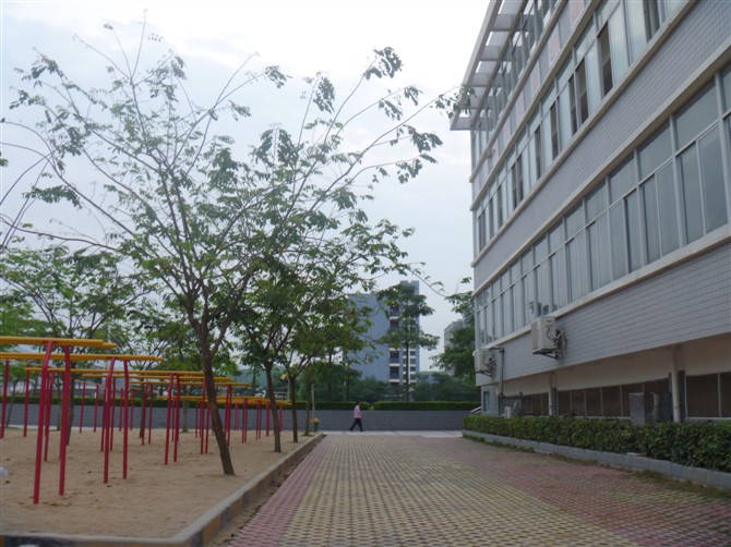 平和正兴学校