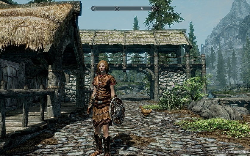 上古卷轴5:天际