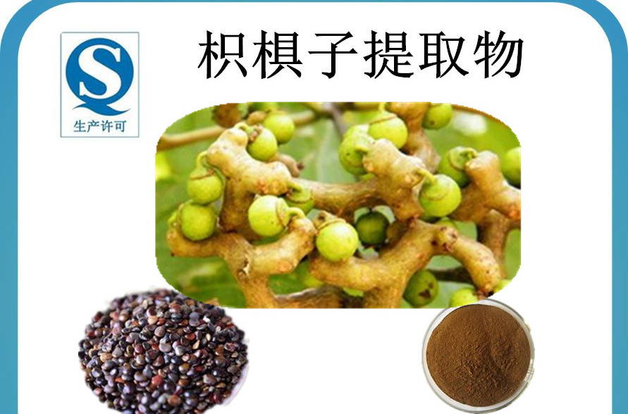 枳椇(枳椇怎么读)