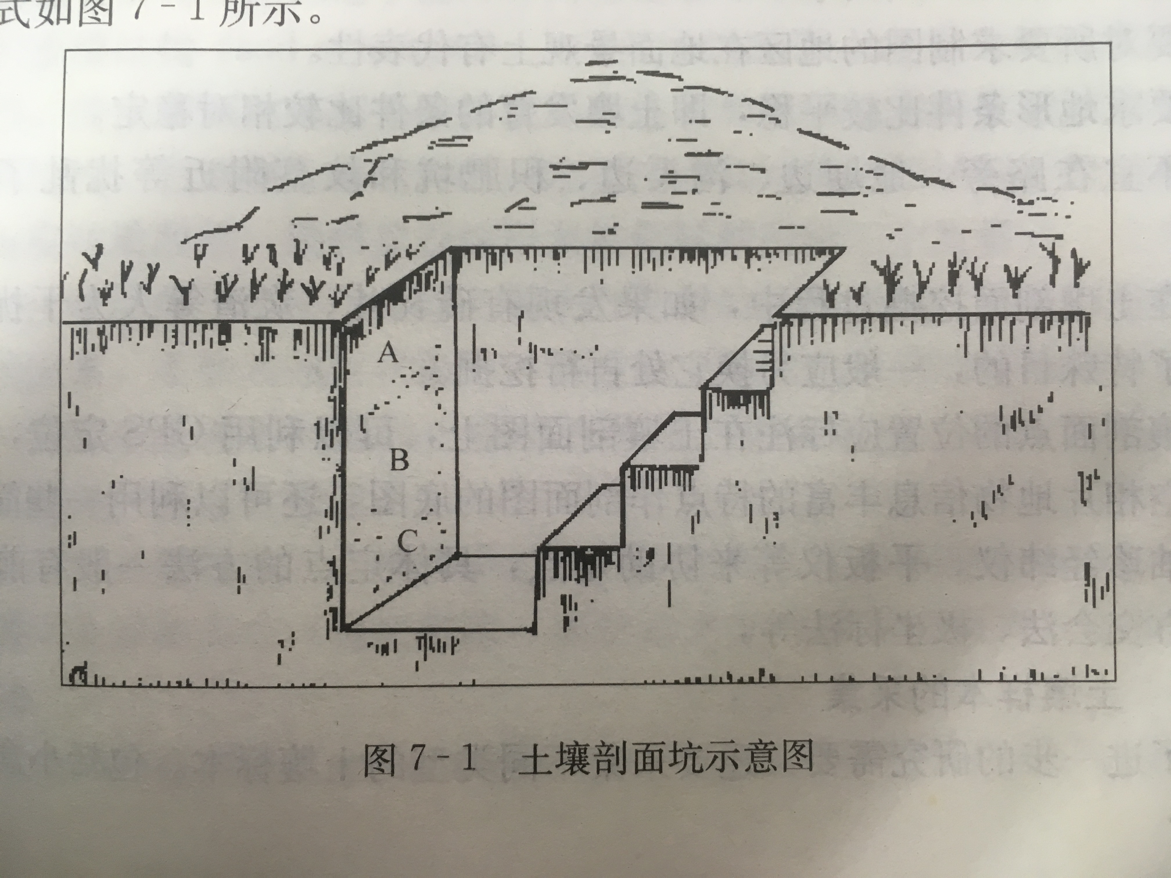 土壤剖面的描述和解译