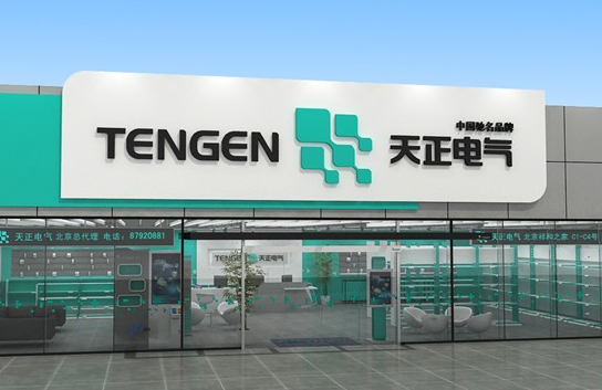 中国天正集团有限公司