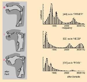 data-lemmaid="7707276">频谱 /a>中能量相对集中的一些区域,共振峰不