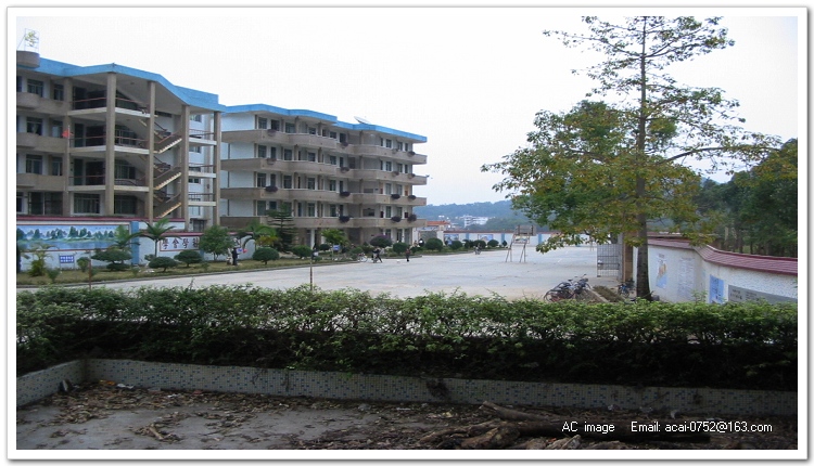 target="_blank" href="/item/罗定">罗定 /a>市苹塘中学,1943年筹办