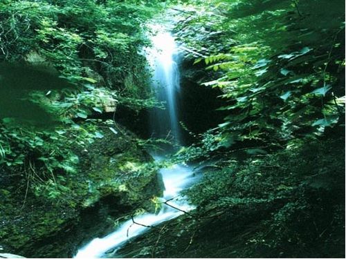  p>龙天沟风景区位于河南省 a target="_blank" href="/item/驻马店市