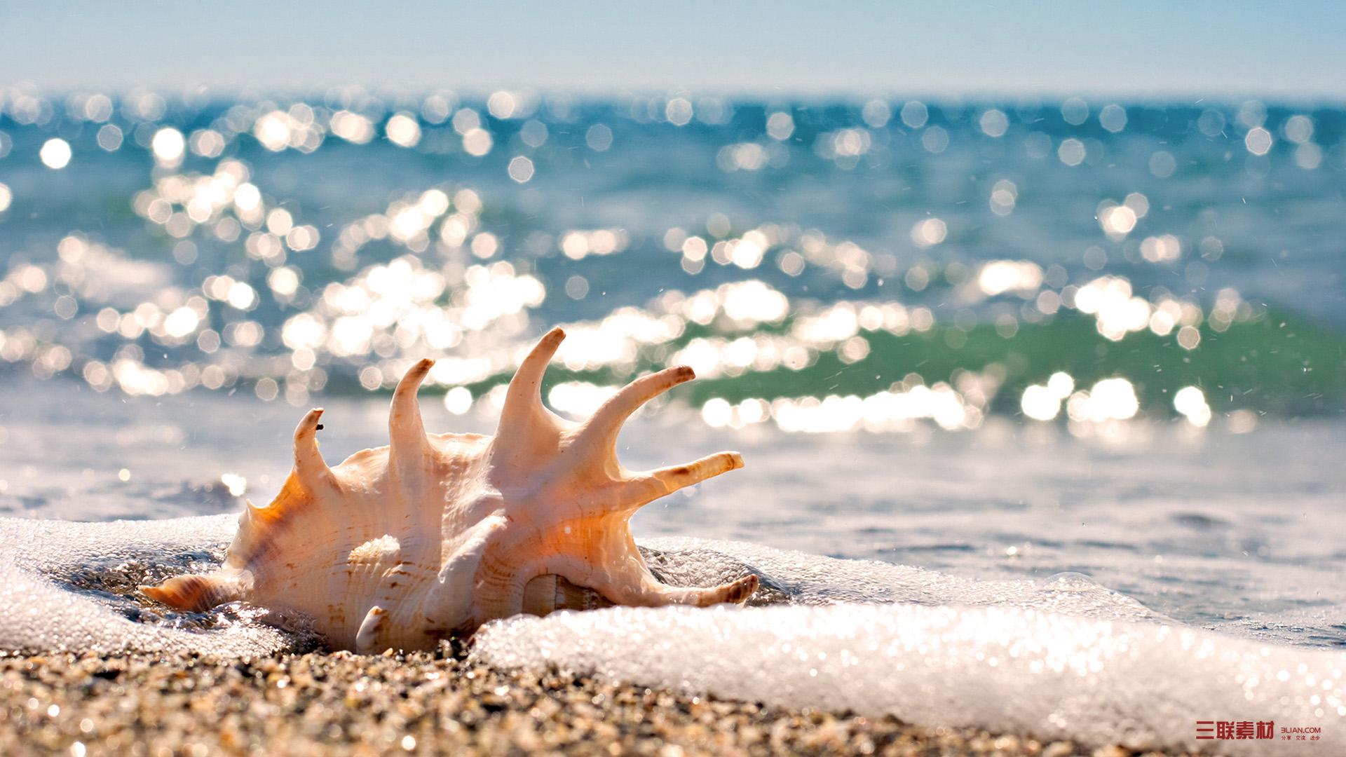  p>贝壳(bèi ké)是生活在水边软体动物的外套壳,由软体动物的一种