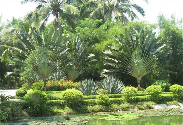 热作两院植物园