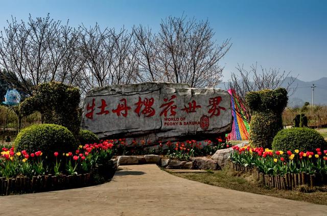 牡丹樱花世界位于重庆市垫江县新民镇,2016年3月正式开园,景区建成后