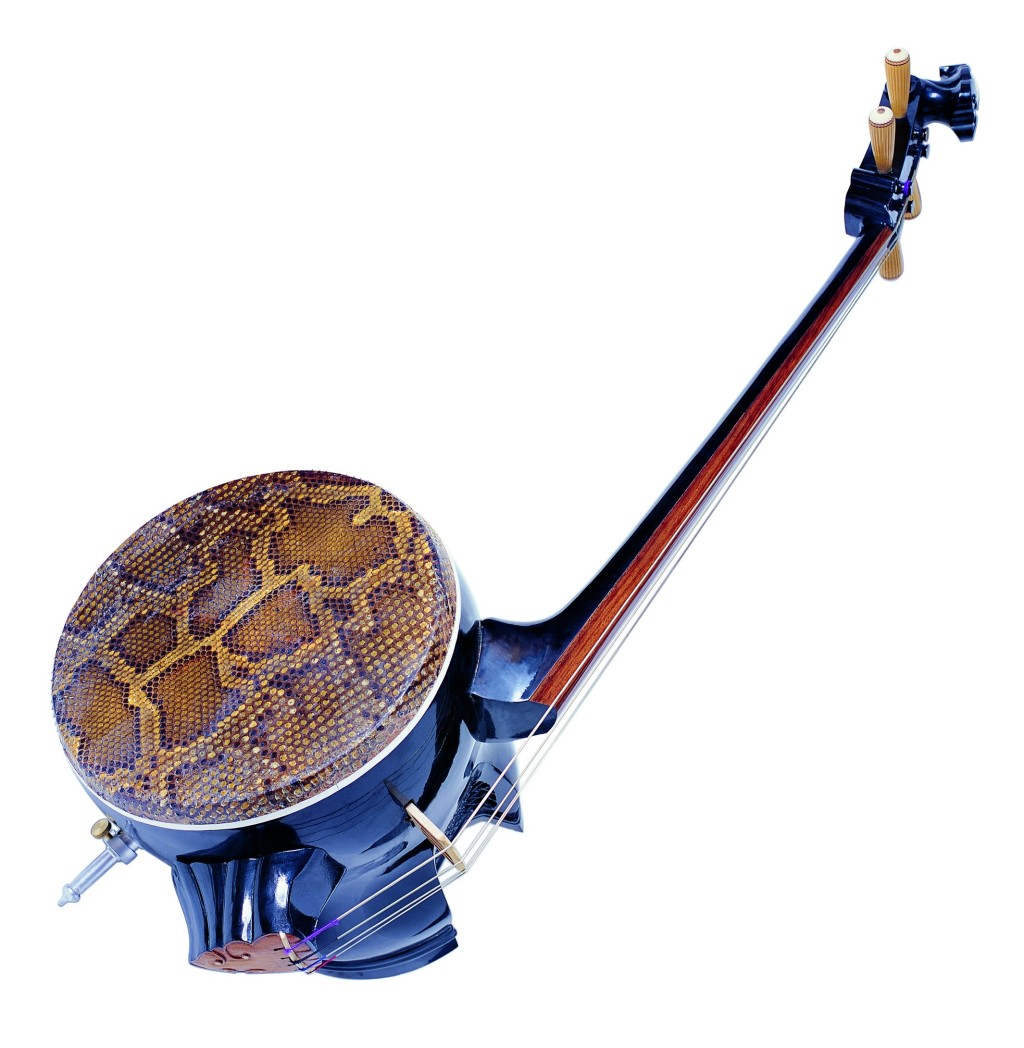  p data-id="gnwkwjv54f">革胡:一种音量较大,音域较宽的低音 a