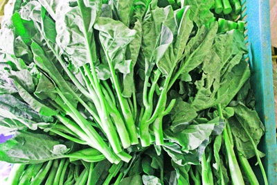  p>芥蓝又名 a target="_blank" href="/item/白花芥蓝/6938926" data