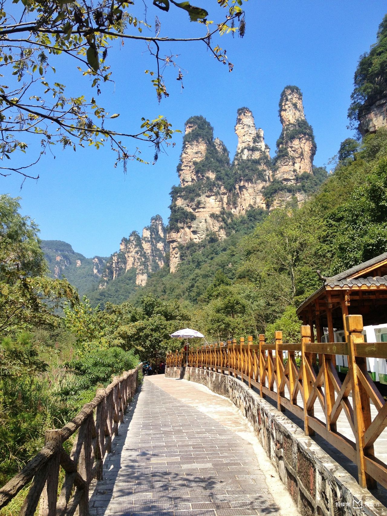  p>张家界十里画廊景区,位于 a href="#" data-lemmaid="4059052">索