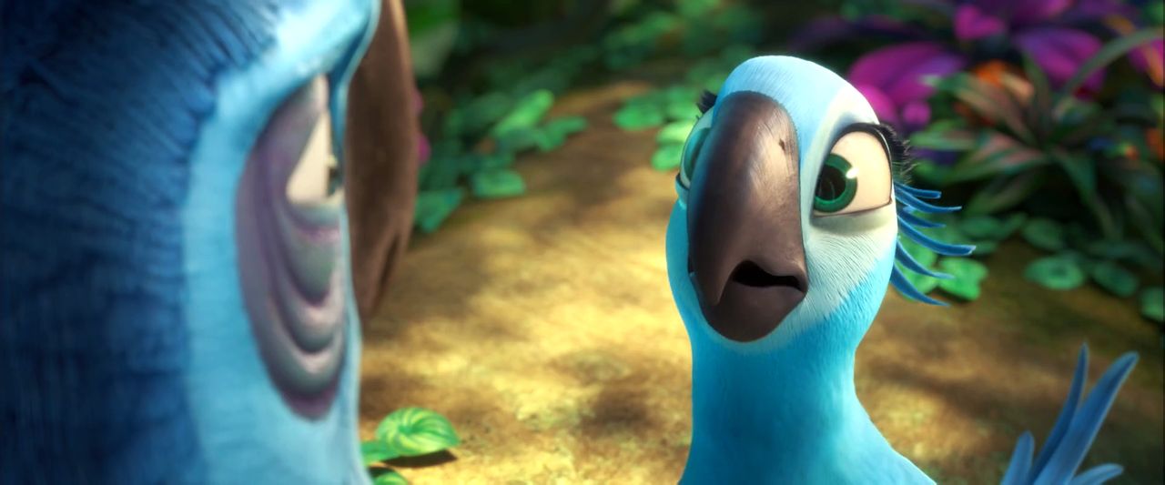  p>《里约大冒险2》( i>rio 2 /i>)是一部2014年美国3d电脑动画 a>