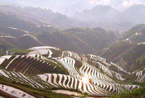  p data-id="gnvg1r0rlu">七星堆墓葬群,俗称鹅卵山,是一群大型古墓葬