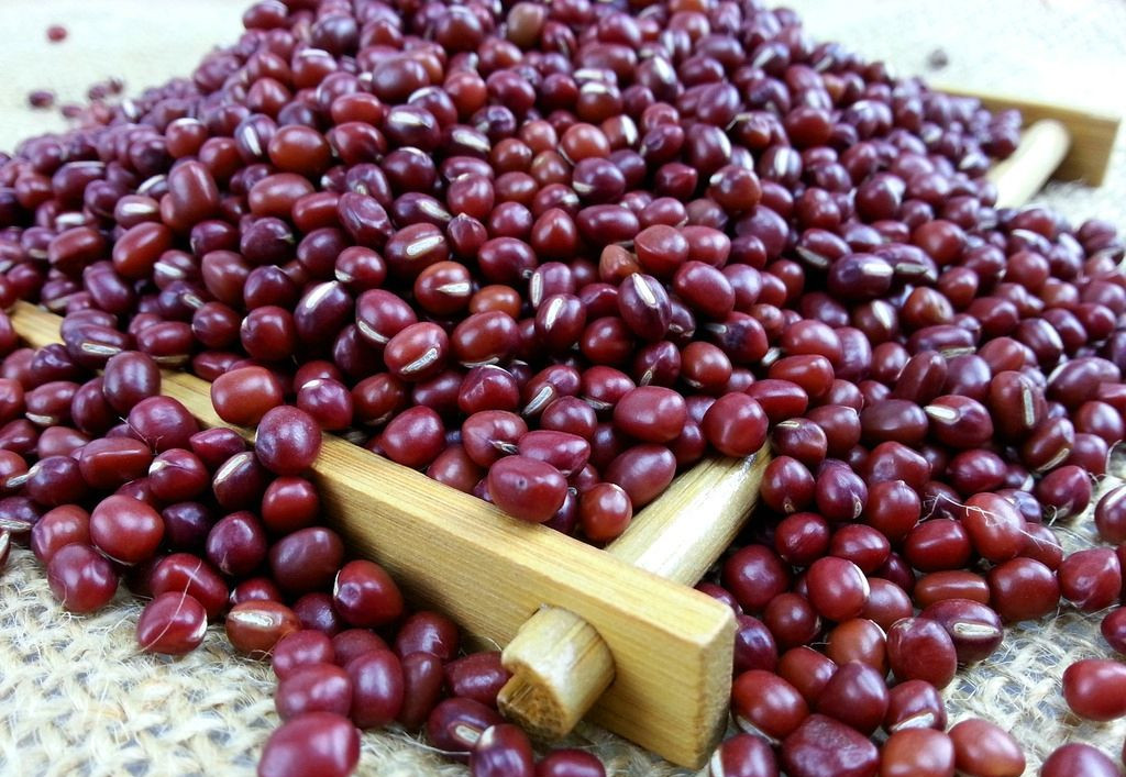 ormosia sericeolucida l. chen