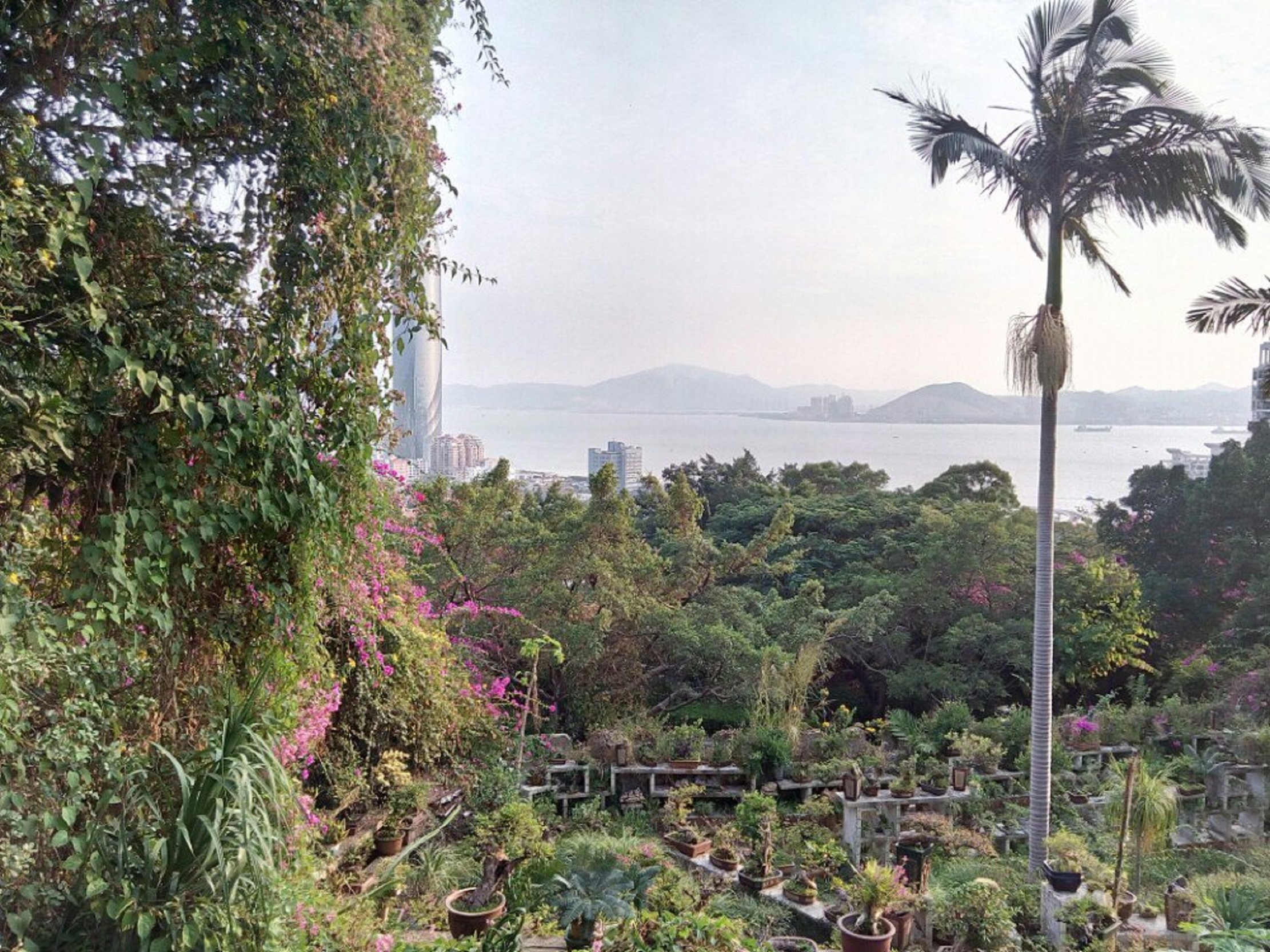 鸿山公园