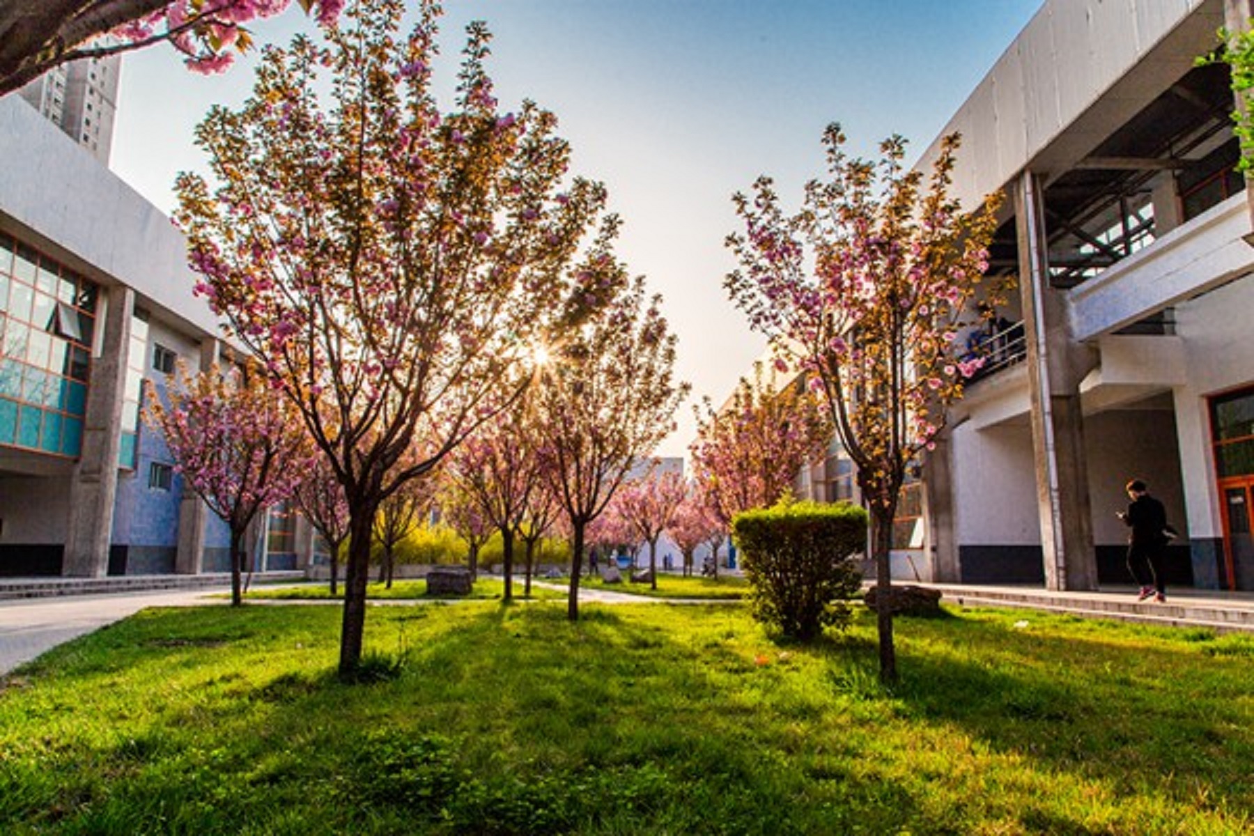 ʯʹѧǼ_ʯʹѧ󲻴_ʯʹѧ