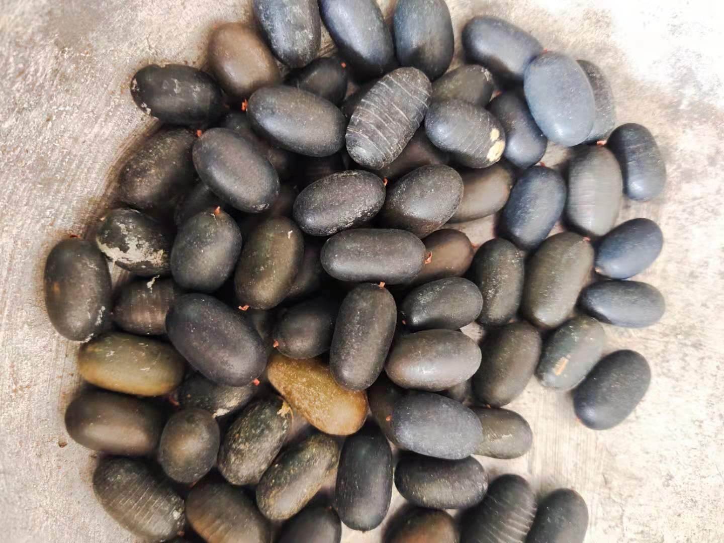  p data-id="gnbxmd7m0r">石莲子,中药名.