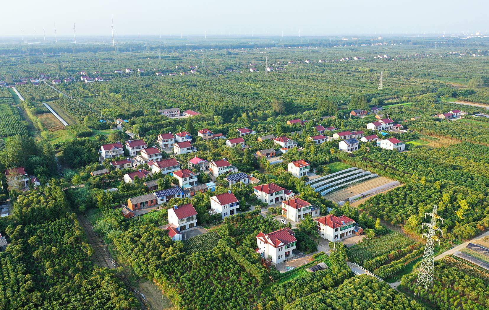  p data-id="gnvjl9kl6u">三仓镇,隶属于江苏省盐城市东台市,地处 a